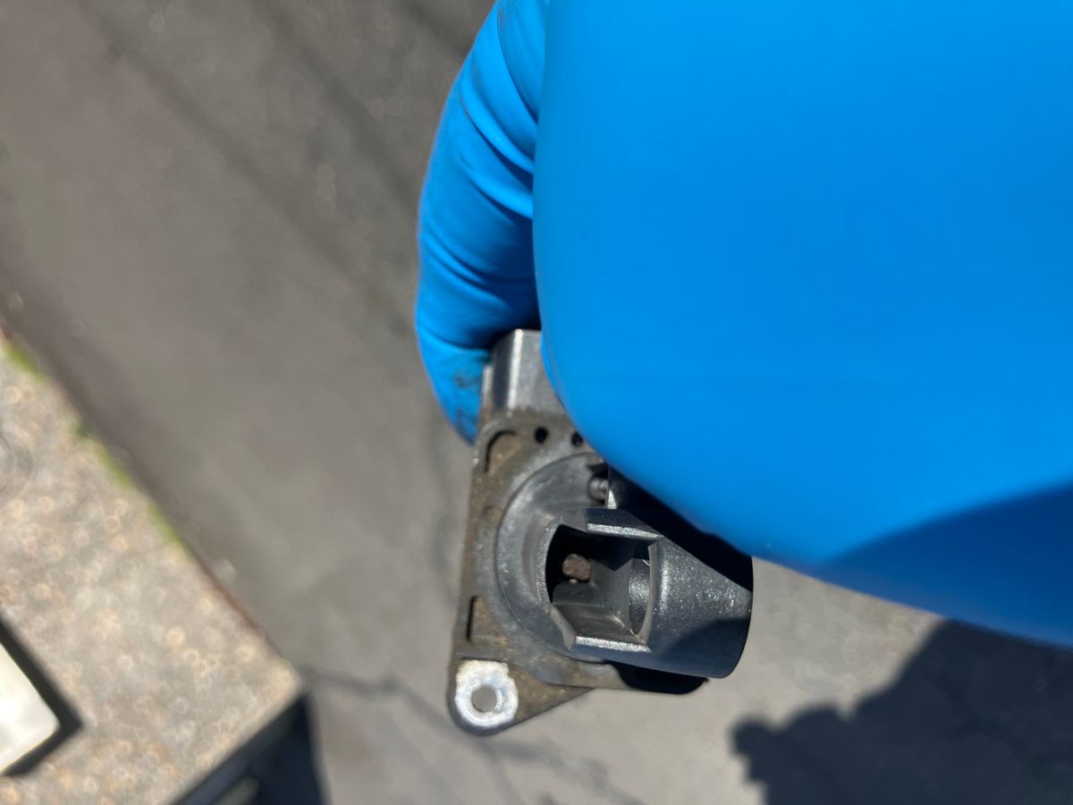 Mouse damage to vehicle air filter and intake area